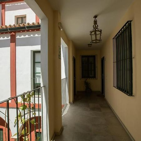 Vidrio Sevilla Deluxe Apartment Zewnętrze zdjęcie